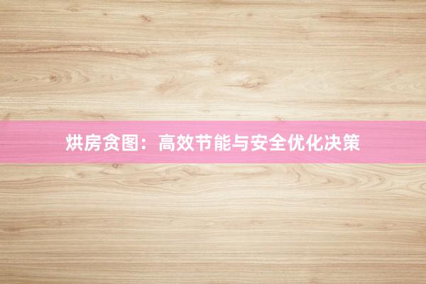 烘房贪图：高效节能与安全优化决策