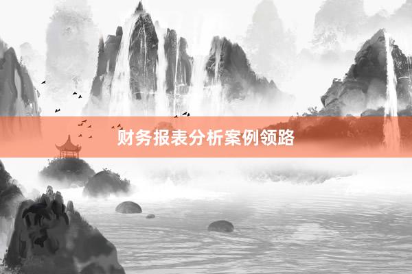 财务报表分析案例领路